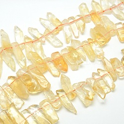 Natural Citrine Bead Nuggets Strands, 23~41x7~11x8~9mm, Hole: 1mm, about 40pcs/strand, 15.74 inch