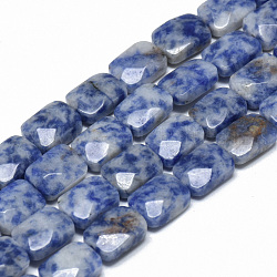 Brins de perles de jaspe de tache bleue naturelle, facette, rectangle, 11x8x5mm, Trou: 1mm, Environ 18 pcs/chapelet, 7.8 pouce