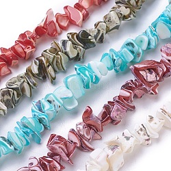 Freshwater Shell Beads Strands, Chip, Dyed, Mixed Color, 4~15x3~17mm, Hole: 0.8mm, about 14.57 inch(37cm)