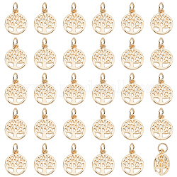 Amuletos de aleación pandahall elite 50pcs, con anillo de salto, redondo plano con colgante de árbol de la vida, real 14k chapado en oro, 13x10.5x1mm, agujero: 3.4 mm