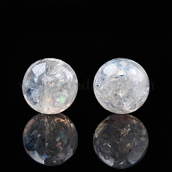 Des perles de résine transparentes, avec coquille, ronde, clair, 12x11.5mm, Trou: 1.5~3mm