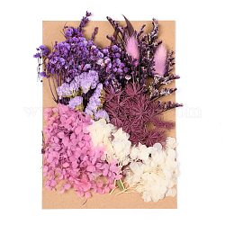 Getrocknete Blume, für die Brautdusche, Hochzeit, konservierte frische Blume, lila, 210x148x14~24.5 mm