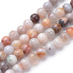 Natural Bamboo Leaf Agate Bead Strands, Round, 6mm, Hole: 1mm, about 62~63pcs/strand, 15~15.2 inch