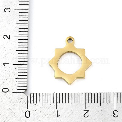 Pendentifs en acier inoxydable 304&nbsp;STAS-F315-03G-1