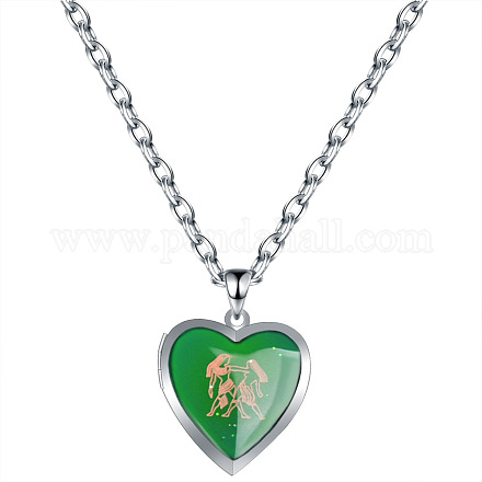 Halskette mit Herz und Sternbild aus Kunstharz mit 304 Edelstahlkabelketten für Damen HEAR-PW0001-105I-1