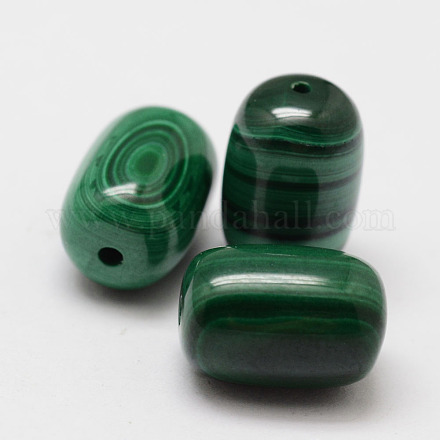 Wax Gourd Natural Malachite Beads X-G-I178-03-8x12-1