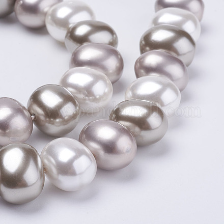 Shell Pearl Beads Strands BSHE-F013-01-1