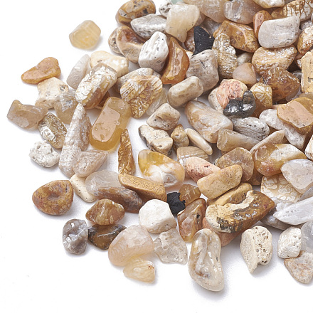 Perles de pierres précieuses jaspe à image naturelle G-R364-11-1