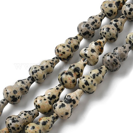 Chapelets de perles en jaspe dalmatien naturelle G-C039-A05-1