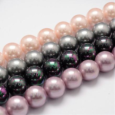 Rainbow Plated Shell Pearl Bead Strands BSHE-L025-8mm-M-1