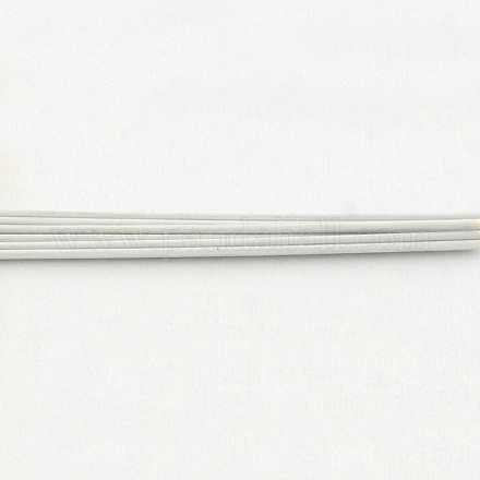 タイガーテールワイヤー  ナイロンコーティング201ステンレス  ホワイトスモーク  0.3mm  約10826.77フィート（3300m）/ 1000g TWIR-S002-0.3mm-6-1