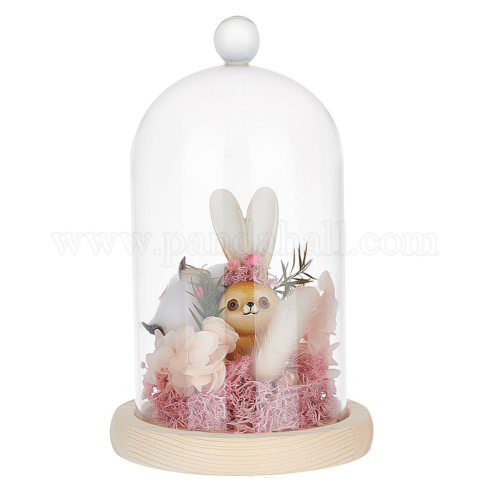 Wholesale Glass Dome Cover