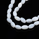 Eau douce naturelle de coquillage perles brins SHEL-N003-25-4