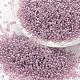 6/0 Glass Seed Beads SEED-J012-F6-116-1