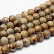 Natural Chrysanthemum Stone Beads Strands G-I131-22-12mm-1