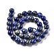 Natürliche Lapislazuli runde Perle Stränge G-E262-01-10mm-6