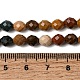 Natur Ozean Jaspis Perlen Stränge&nbsp;G-K376-F17-01-5