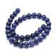 Natural Sodalite Beads Strands G-J313-06-10mm-2