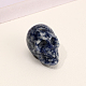 Décorations d'exposition de figurines de crâne en jaspe à points bleus naturels G-PW0007-061A-1