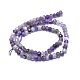 Natural Amethyst Beads Strands G-F715-085-2