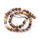 Natural Petrified Wood Beads Strands X-G-F545-F02-3