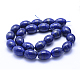 Natural Lapis Lazuli Beads Strands G-P342-08-13x18mm-A-2