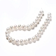 Natural Cultured Freshwater Pearl Beads Strands PEAR-I004-09-2