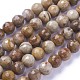 Chapelets de perles en bois pétrifié naturel G-P430-16-C-2