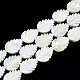 Chapelets de perles de coquille de trochid / trochus coquille SSHEL-N034-136A-01-1
