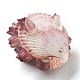 天然な巻き貝の殻のディスプレイの装飾  蓮  オールドローズ  73~90x69~81x37~57mm AJEW-H126-06-3