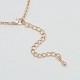 Trendy Women's Brass Rolo Chain Wing Cage Pendant Necklaces NJEW-F053-15-3
