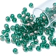6/0 Transparent Glass Seed Beads SEED-YW0002-11B-2