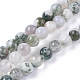 Chapelets de perles en agate d'arbre naturelle G-L533-22-1