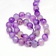 Natural Agate Beads Strands G-G580-10mm-21-2
