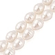 Chapelets de perles de coquille&nbsp;BSHE-L035-A02-3