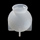 Moules en silicone pour pendentif de bouteille de souhait rond DIY-K073-02-6