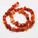 Nuggets Natural Red Carnelian Beads Strands G-N0128-69-2