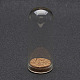 Cubierta de vidrio cloche cloche X-AJEW-P043-L-1
