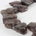 Природные дымчатый кварц драгоценных камней из бисера пряди, самородки, 13~27x10~20x4~8 мм, отверстие : 1 мм, около 29~40 шт / нитка, 16.14 дюйм