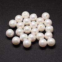 Shell-Perlen BSHE-L031-01-6mm