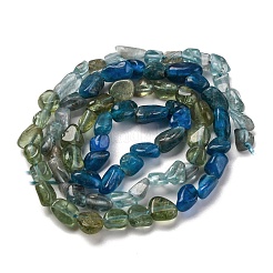 Fili di perline di apatite naturale di colore sfumato&nbsp;G-L610-B12-01