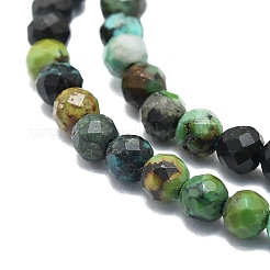 Perline Chrysocolla naturale fili&nbsp;G-P457-A02-03