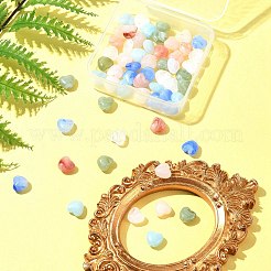 60pcs 6 Farben undurchsichtige Acrylperlen&nbsp;MACR-FS0001-69