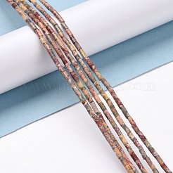 Leopardate naturale filoni tonda&nbsp;G-M389-02