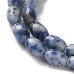 Fili di perle di diaspro macchia blu naturale&nbsp;G-I369-B01-01