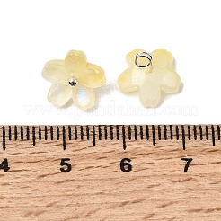 Glas Anhänger / charms&nbsp;GLAA-G127-05D