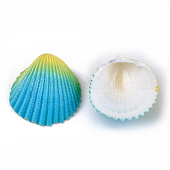 Sprühfarbe natürliche Arche Muschelperlen&nbsp;SSHEL-S261-03B