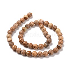 Picture naturale perline di diaspro fili&nbsp;G-E571-28B