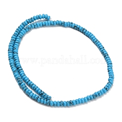 Kunsttürkisfarbenen Perlen Stränge&nbsp;G-Z110-B01-2x4mm-03