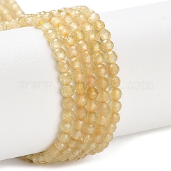 Fili di perle di apatite giallo naturale&nbsp;G-N342-20A-01